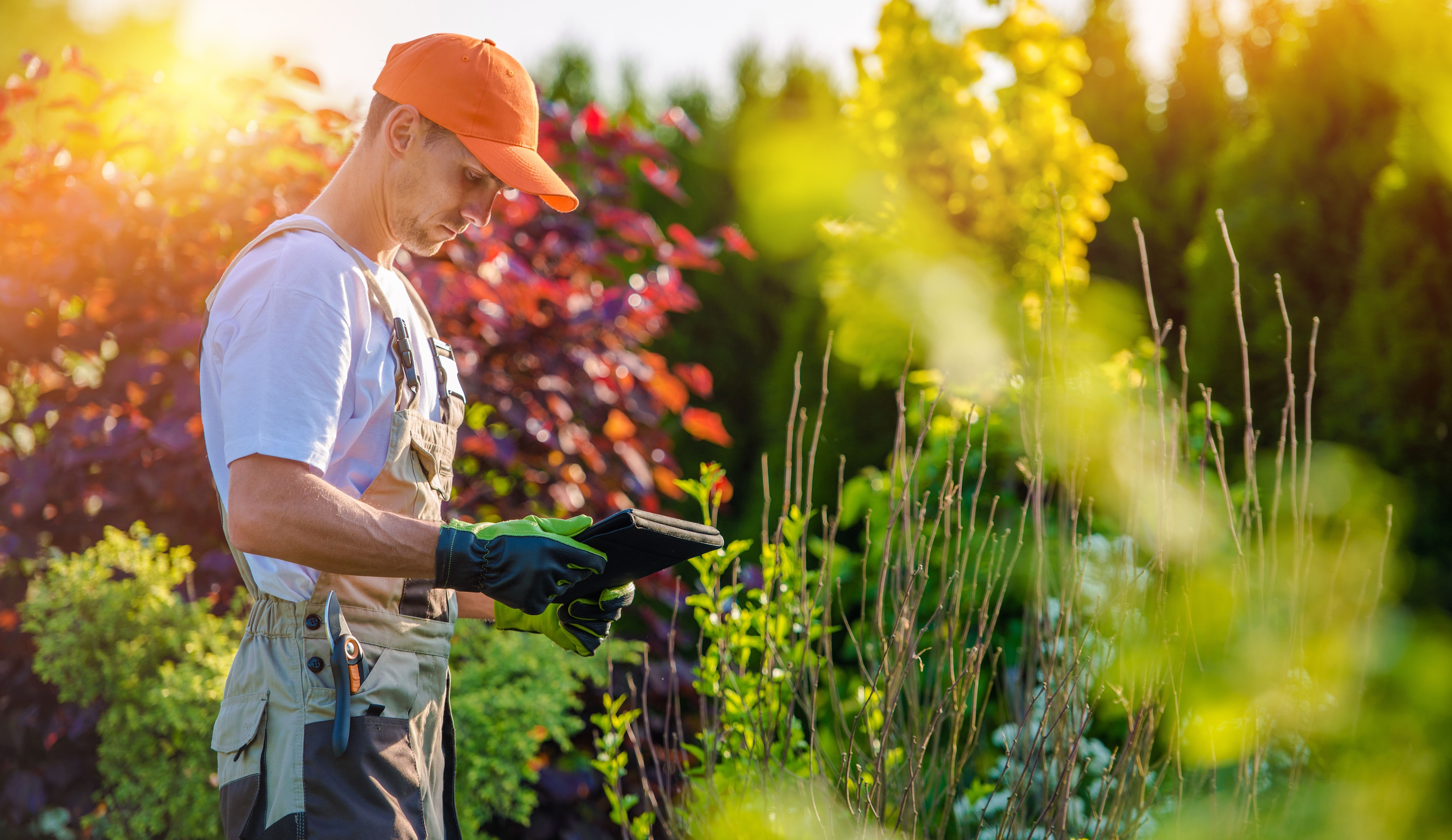 Medidas de prevencin asociadas a la PRL en el sector de la jardinera