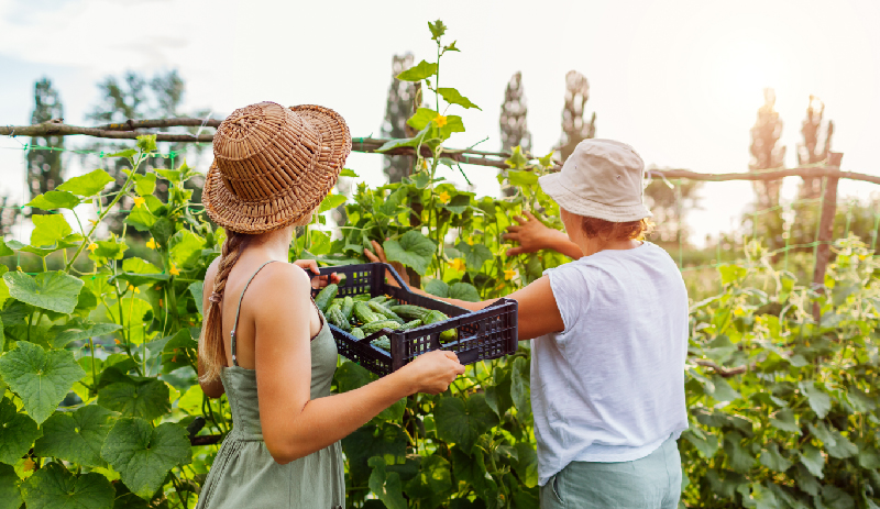 Mesures de prevenci de riscos laborals per als agricultors